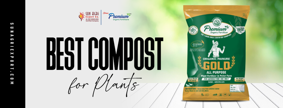 Best Compost for Plants